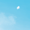 冬